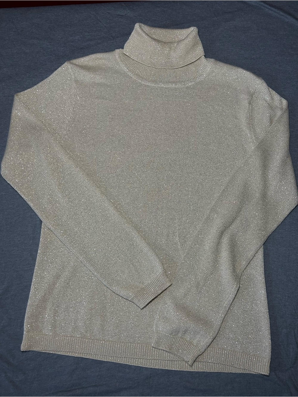 Tailor B. Moss Metallic Cream Turtleneck Sweater